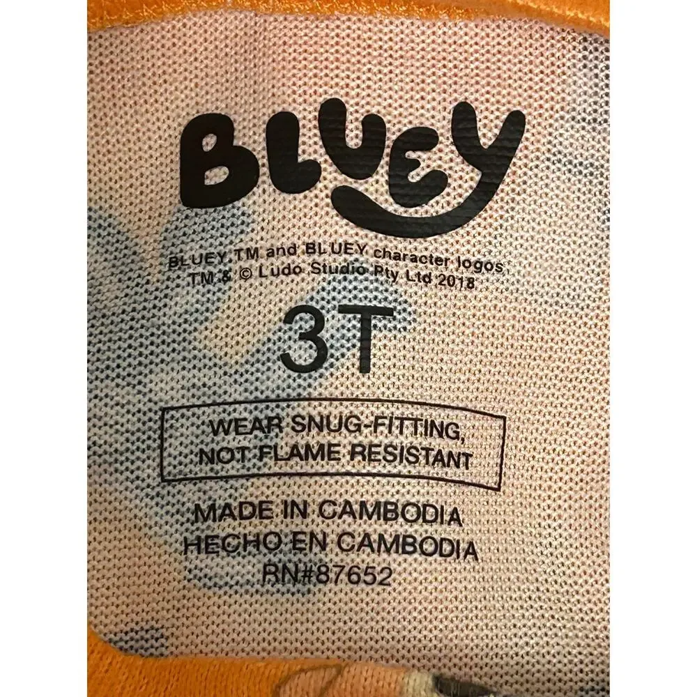 Bluey get ready